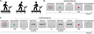 Time estimation during motor activity